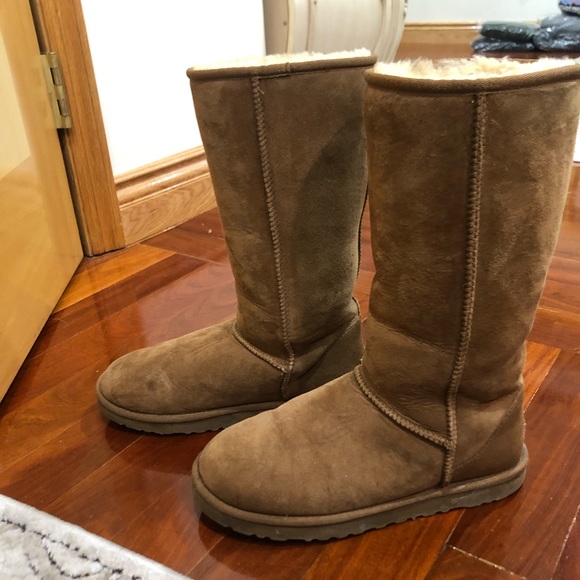 Chestnut tall uggs - Picture 2 of 5